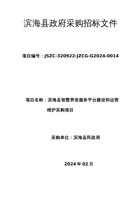 滨海县智慧养老服务平台建设和运营维护采购项目 封面