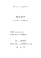 芜湖市智慧养老综合平台 封面