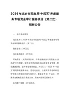2026年东台市民政局“十四五”养老服务专项资金审计服务项目（第二次）招标公告 封面