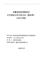 滁州市基本养老服务综合平台建设项目 封面