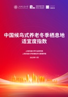 上海交通大学2022中国候鸟式养老冬季栖息地适宜度指数报告 封面