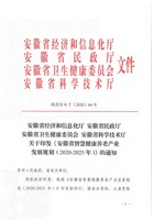安徽省智慧健康养老产业发展规划2020-2025年 封面