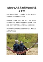 失智症老人家庭的居家安全问题及管理 封面