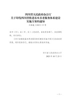  四川省人民政府办公厅关于印发四川省推进基本养老服务体系建设实施方案的通知 封面
