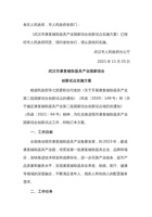 武汉市康复辅助器具产业国家综合创新试点实施方案 封面