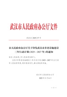 武汉市养老设施建设三年行动计划(2025—2027 年) 封面
