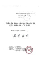 临泽县民政局 2022 年居家和社区基本养老服务提升行动 (居家养老上门服务)项目公开招标公告 封面